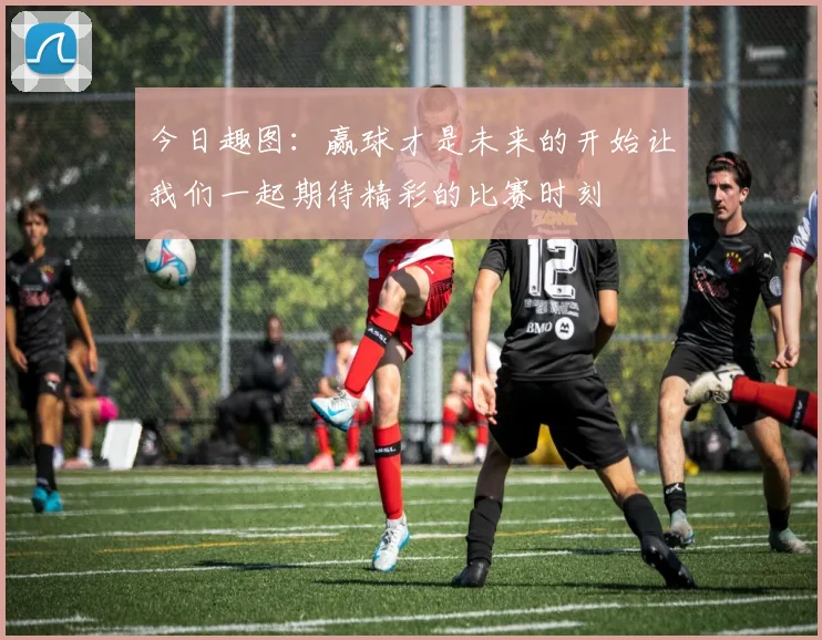 今日趣图：赢球才是未来的开始让我们一起期待精彩的比赛时刻