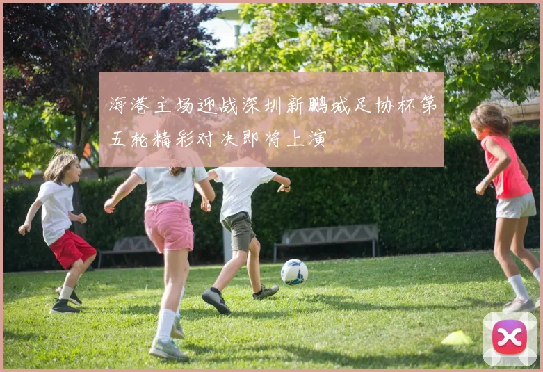 海港主场迎战深圳新鹏城足协杯第五轮精彩对决即将上演